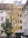 Darmstadt, Darmstadt-Mitte, Rheintor/Grafenstraße, Klinikum Darmstadt GmbH, Medizinische Klinik