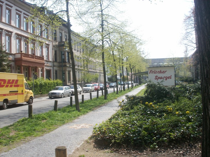 Darmstadt, Darmstadt-Nord, Johannesviertel, Liebigstraße