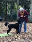 Darmstadt, Ein Hundeleben in Darmstadt, Schröder 2020, Tiergestützte Projekte-Praktische Übungen