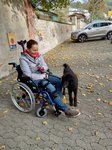 Darmstadt, Ein Hundeleben in Darmstadt, Schröder 2020, Tiergestützte Projekte-Azubi im Einsatz