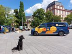 Darmstadt, Ein Hundeleben in Darmstadt, Schröder 2022, HeinerLiner