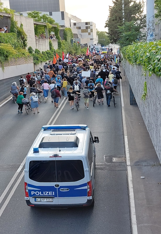 Darmstadt, Ein Hundeleben in Darmstadt - Anti AFD Demo