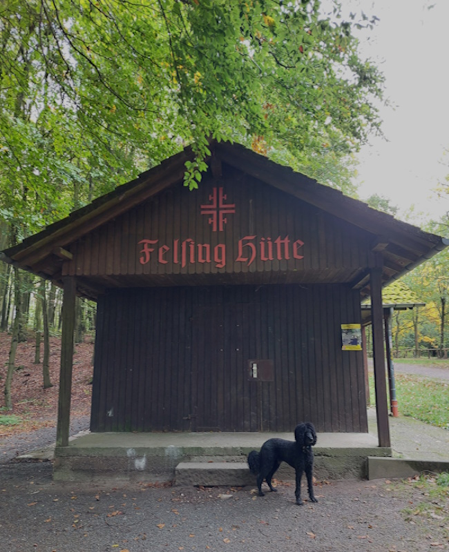 Darmstadt, Ein Hundeleben in Darmstadt - Frankenstein/Felsinghütte