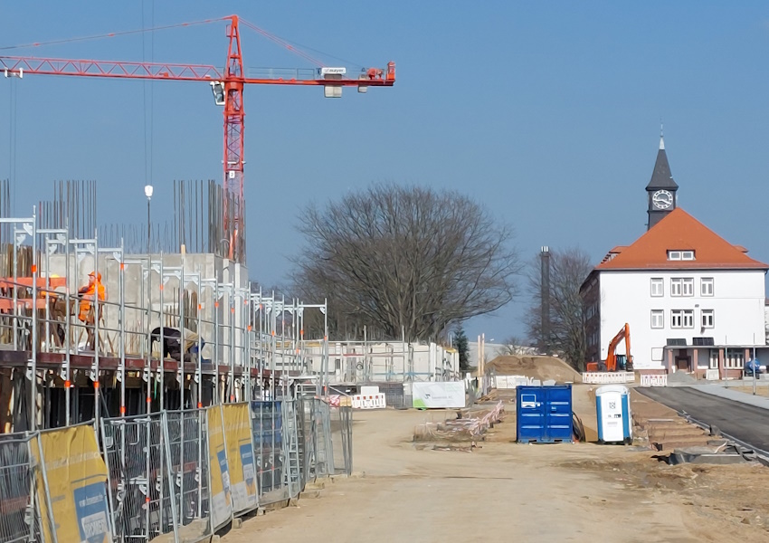 Darmstadt, Ein Hundeleben in Darmstadt - Das Ludwigshöhviertel