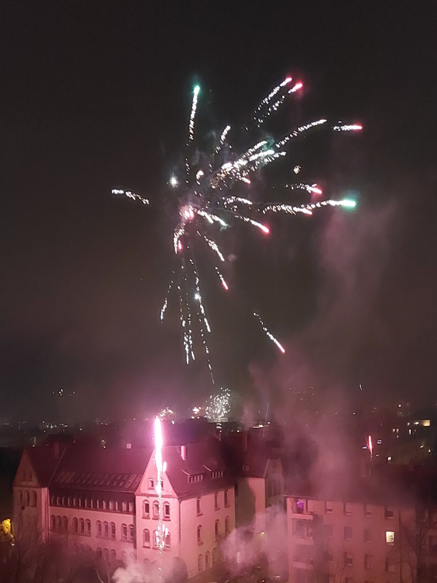 Darmstadt, Ein Hundeleben in Darmstadt - Neujahr 2025