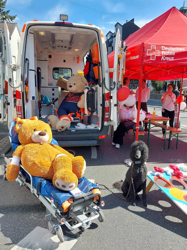 Darmstadt, Ein Hundeleben in Darmstadt - DRK im Einsatz auf dem 75. Heinerfest