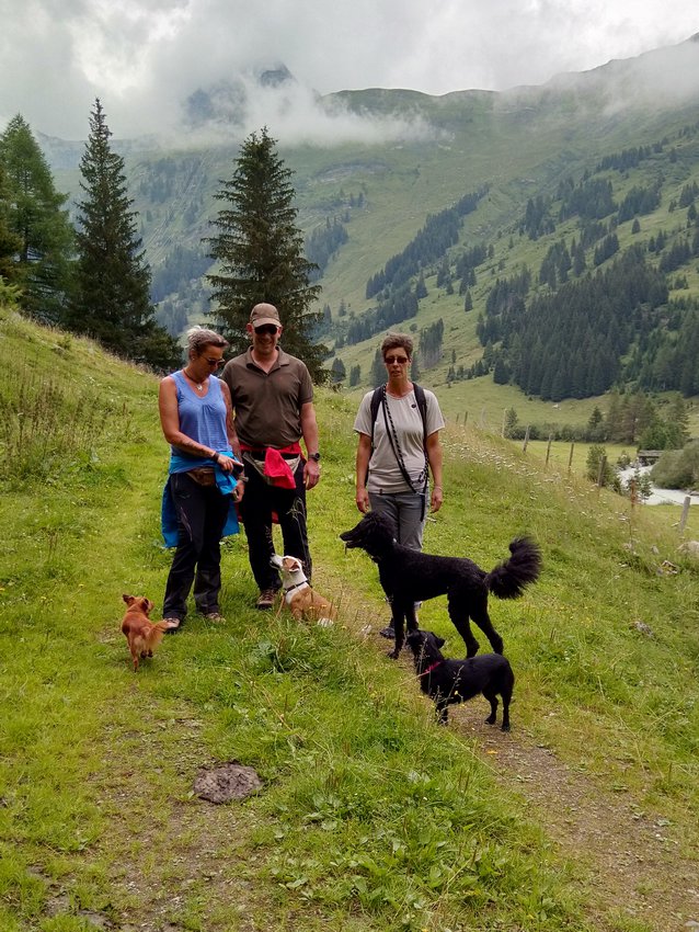 Ein Hundeleben on Tour, Urlaub, Tagesausflüge - 2020 Hohe Tauern/Österreich