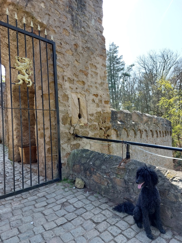 Ein Hundeleben on Tour, Urlaub, Tagesausflüge - Alsbach-Hähnlein, Hessen, Schloss Alsbach
