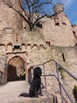 Ein Hundeleben on Tour, Urlaub, Tagesausflüge, Bensheim-Auerbach, Hessen, Schloss Auerbach