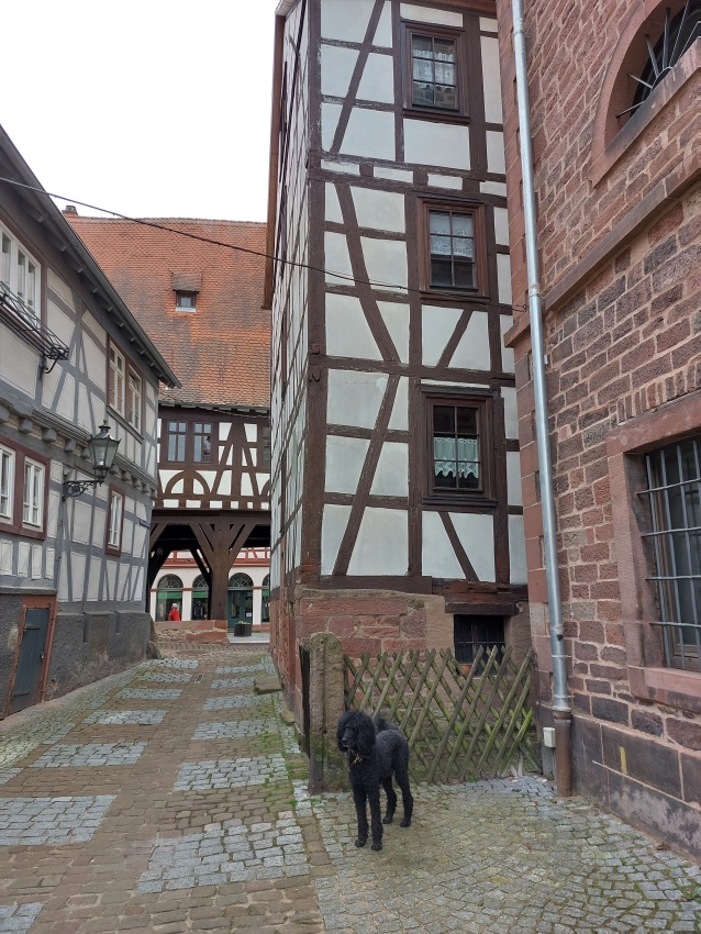 Ein Hundeleben on Tour, Urlaub, Tagesausflüge - Michelstadt, Hessen, Altstadt
