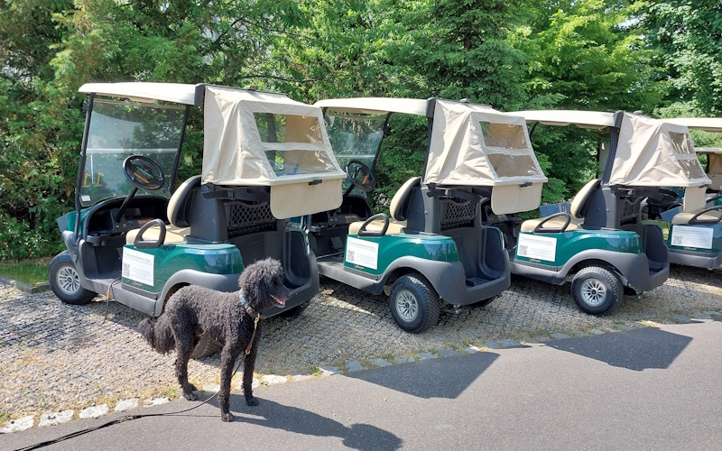 Ein Hundeleben on Tour, Urlaub, Tagesausflüge -Tröstau, Bayern, Golfclub Fahrenbach 