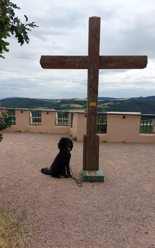 Ein Hundeleben on Tour, Urlaub, Tagesausflüge - Traisen, Rheinland-Pfalz, Rotenfels
