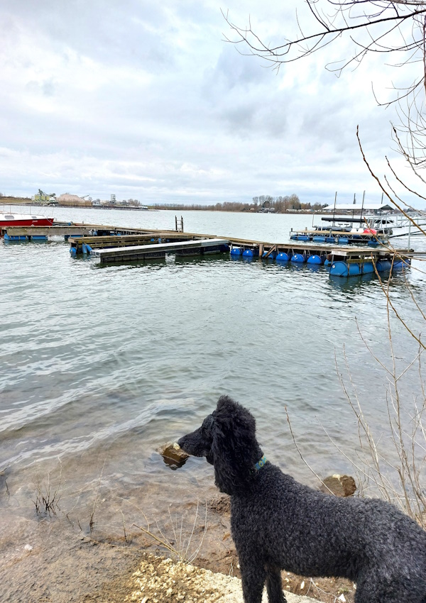 Ein Hundeleben on Tour, Urlaub, Tagesausflüge - Eich, Rheinland-Pfalz, Eicher See