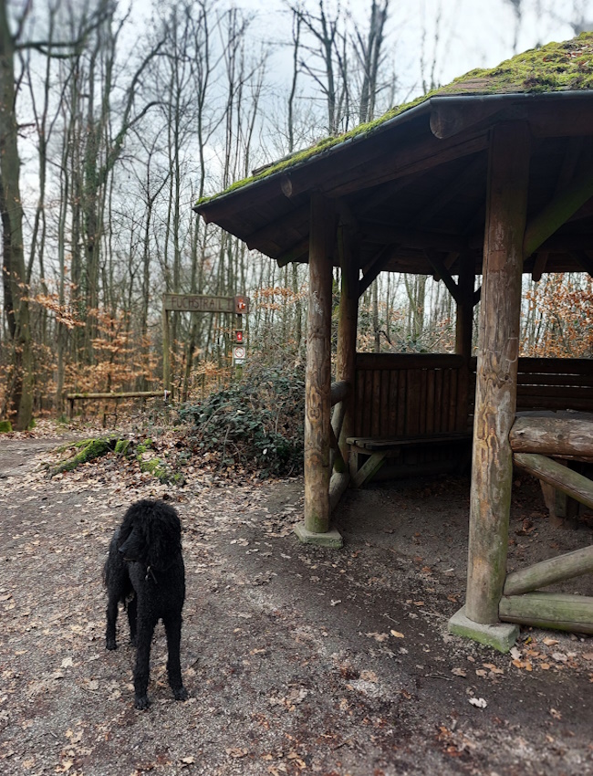 Ein Hundeleben on Tour, Urlaub, Tagesausflüge - Bergstraße/Hessen, Fuchstrail