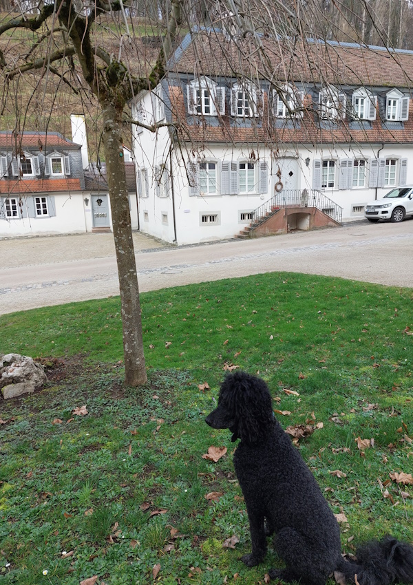 Ein Hundeleben on Tour, Urlaub, Tagesausflüge - Bensheim, Staatspark Fürstenlager