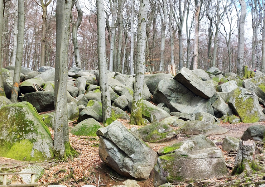 Ein Hundeleben on Tour, Urlaub, Tagesausflüge - Lautertal-Reichenbach/Hessen, Felsenmeer