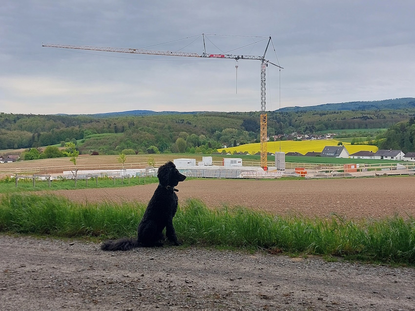 Ein Hundeleben on Tour, Urlaub, Tagesausflüge - Wembach/Hessen/Ortsumgehung