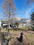 Ein Hundeleben on Tour, Urlaub, Tagesausflüge, Worms, Rheinland-Pfalz, Haus St. Nikolaus