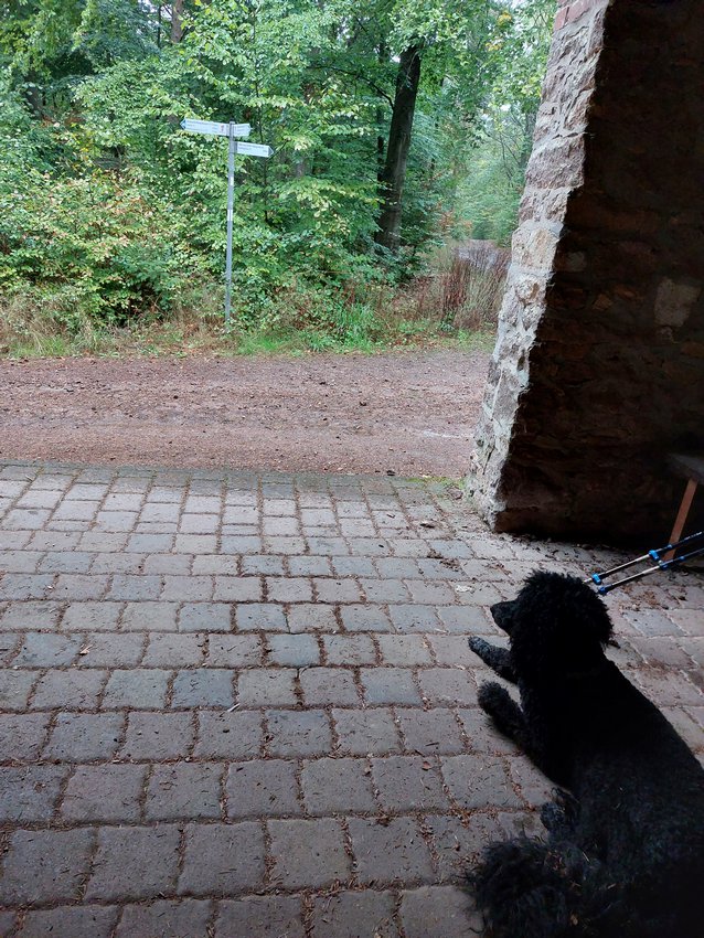 Ein Hundeleben on Tour, Urlaub, Tagesausflüge - Bad Kreuznach, Rheinland-Pfalz, Bismarckhütte