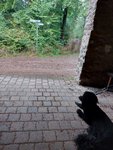 Ein Hundeleben on Tour, Urlaub, Tagesausflüge, Bad Kreuznach, Rheinland-Pfalz, Bismarckhütte
